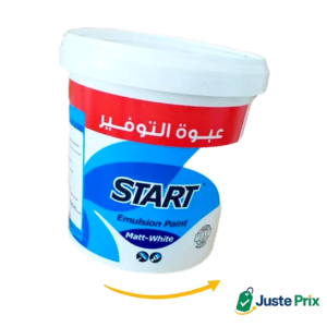 Peinture Start 20 kg