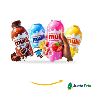 Lait aromatisé Mulik 18 x 500 ml